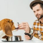 ¿Cuánta Comida Debe Comer Mi Perro?