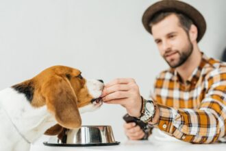 ¿Cuánta Comida Debe Comer Mi Perro?