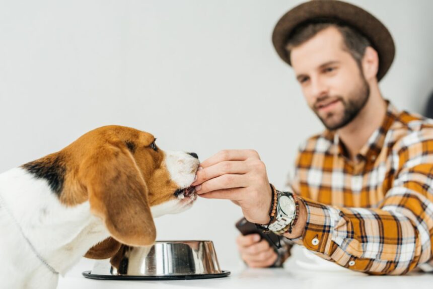 ¿Cuánta Comida Debe Comer Mi Perro?
