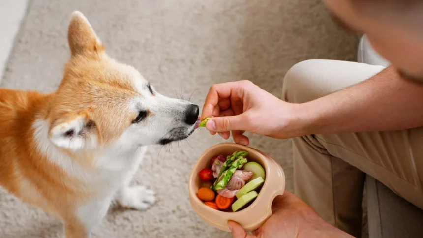 Que Comen los Perros de Forma Natural